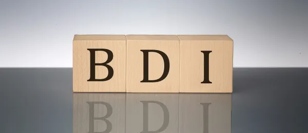 img of BDI: Entenda e Calcule Para Sua Obra Com Precisão
