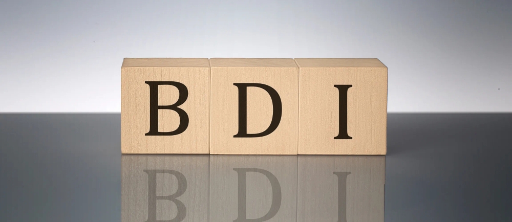 img of BDI: Entenda e Calcule Para Sua Obra Com Precisão