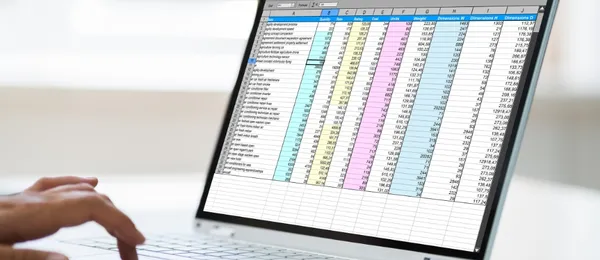 img of Orçamento Analítico vs. Estimativo: Qual Usar na Obra?